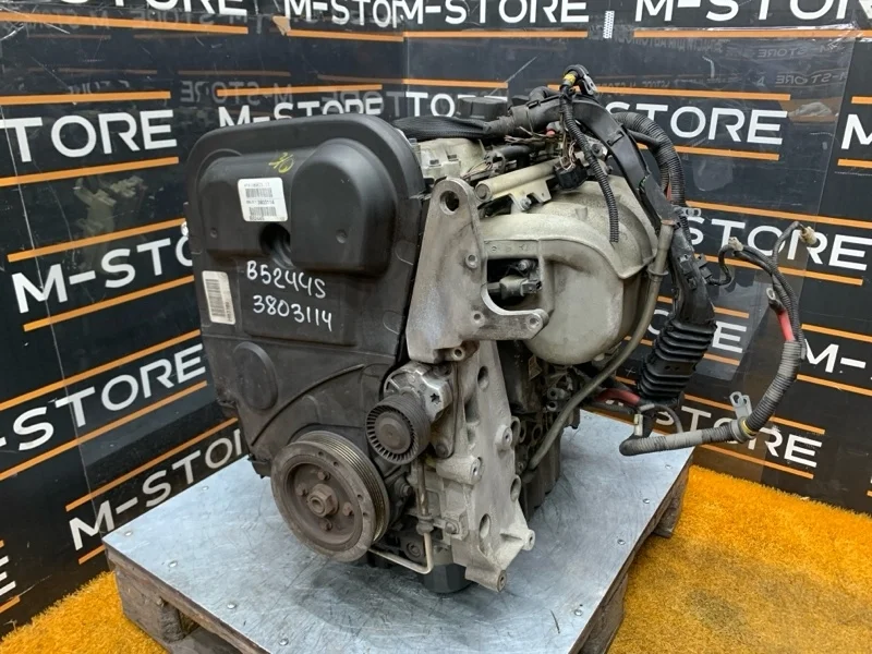 Двигатель Volvo V70 8251484 SW61 B5244S