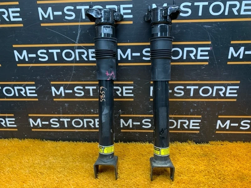 Амортизатор Mercedes-Benz R-Class 2006 A2513200631 W251 272.967, задний