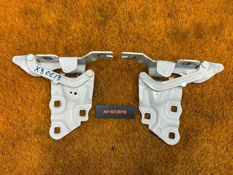 Петля капота Bmw X3 2012 7210730 F25 N47D20C