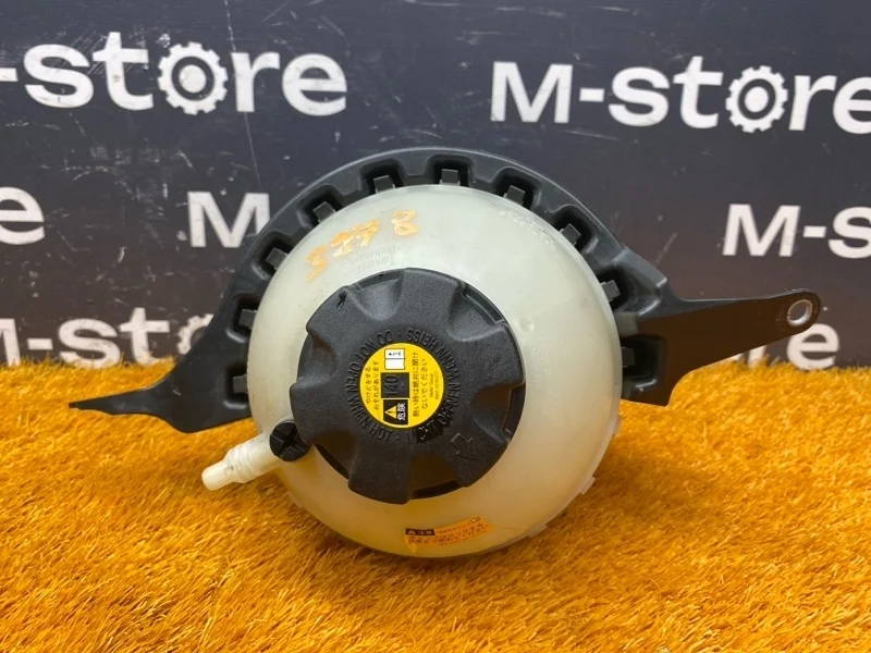 Бачок расширительный Bmw 5-Series 2013 17137649732 F10 N20B20B