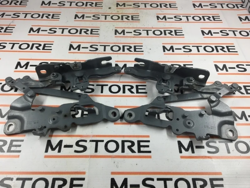 Петля капота Bmw 5-Series 2011 41007270883 F10 N20B20B