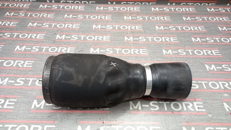 Пневмоподушка Bmw X5 2002 37121095580 E53 M54B30, задняя