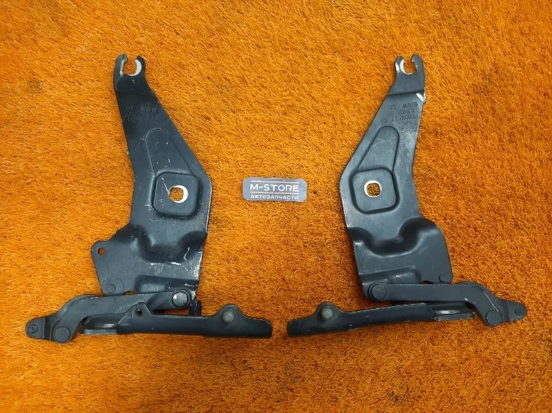 Петля капота Bmw X5 2008 41007198617 E70 N52B30