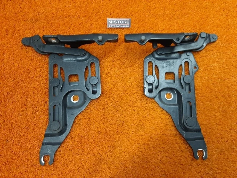 Петля капота Bmw X5 2007 7148347 E70 N62B48B
