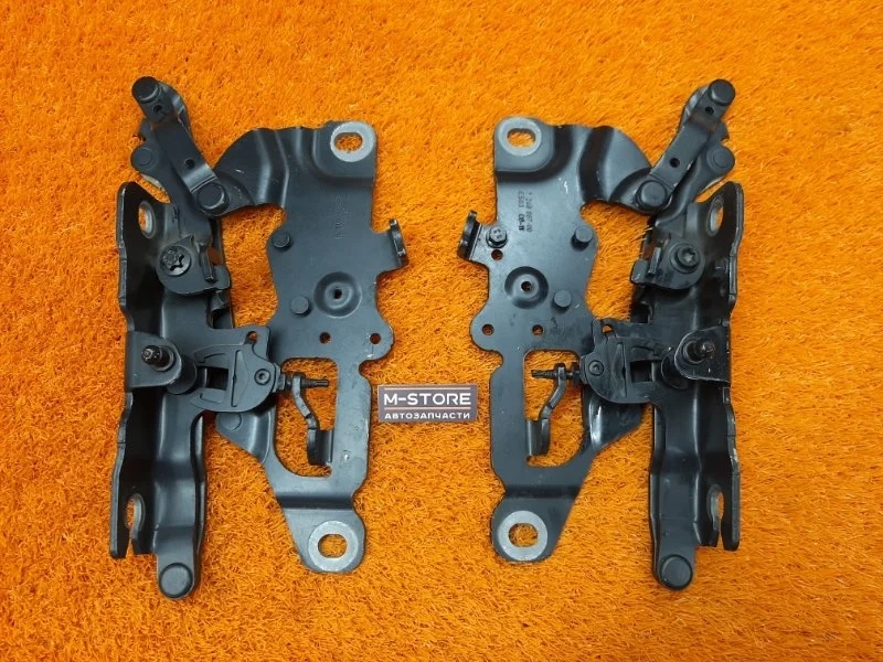 Петля капота Bmw 5-Series 2011 7249887 F10 N20B20B