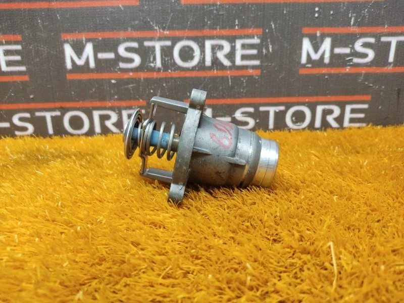 Термостат Bmw X5 2007 7502779 E70 N62B48B