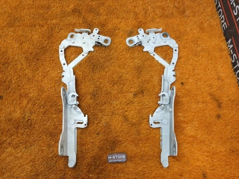 Петля капота Bmw 3-Series 2012 7239415 F30 N20B20B