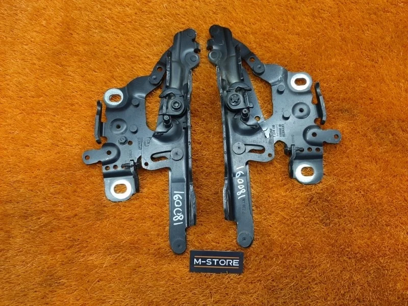 Петля капота Bmw 3-Series 2012 7239416 F30 N20B20B