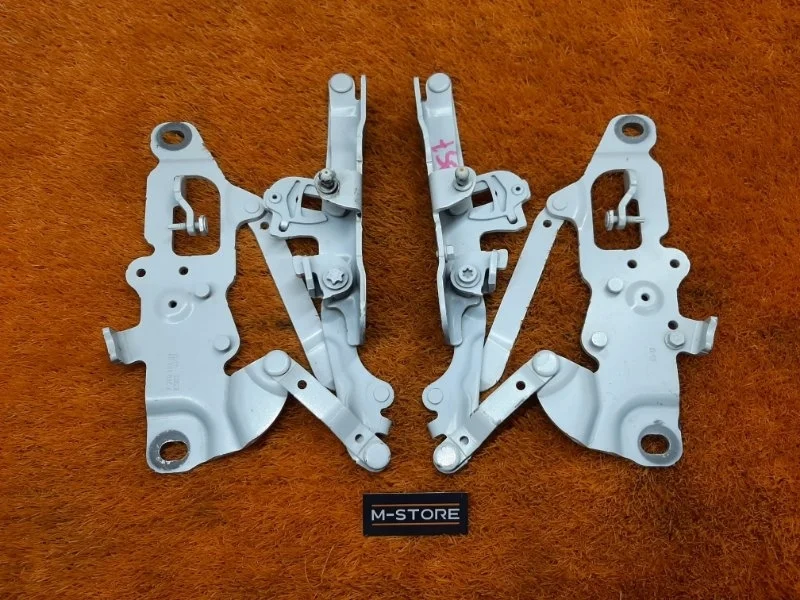 Петля капота Bmw 5-Series 2012 41007270883 F10 N20B20B