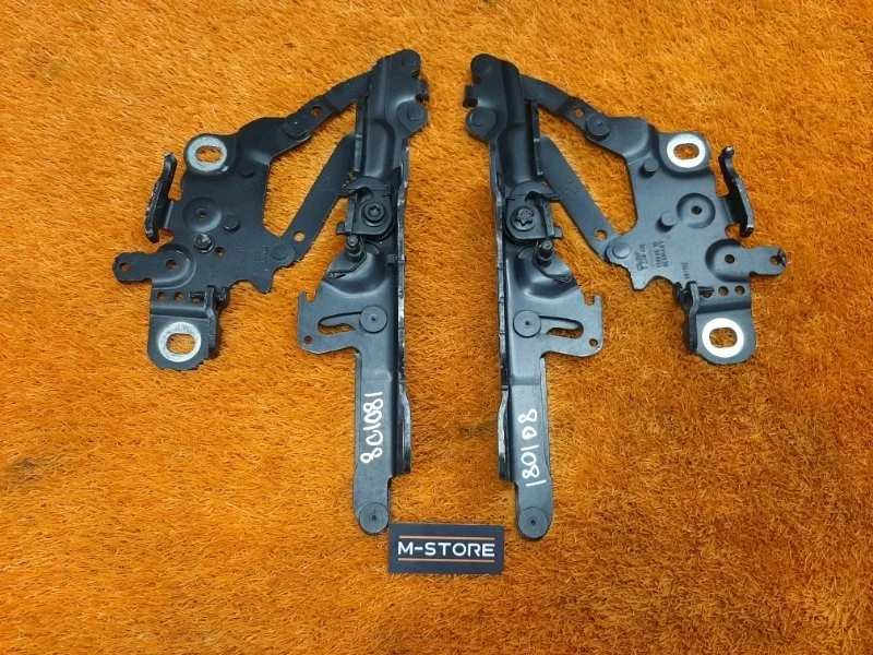 Петля капота Bmw 3-Series 2012 7239416 F30 N20B20B