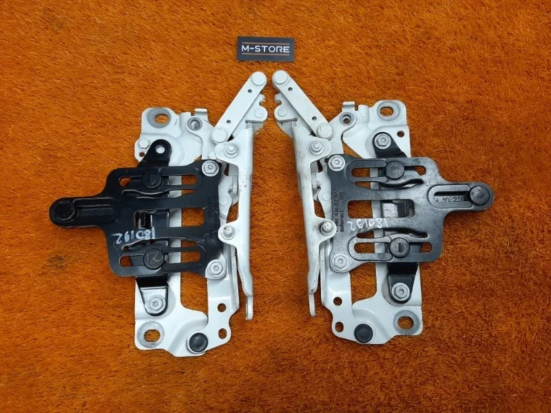 Петля капота Bmw 5-Series 2011 7184435 F10 N52B25A