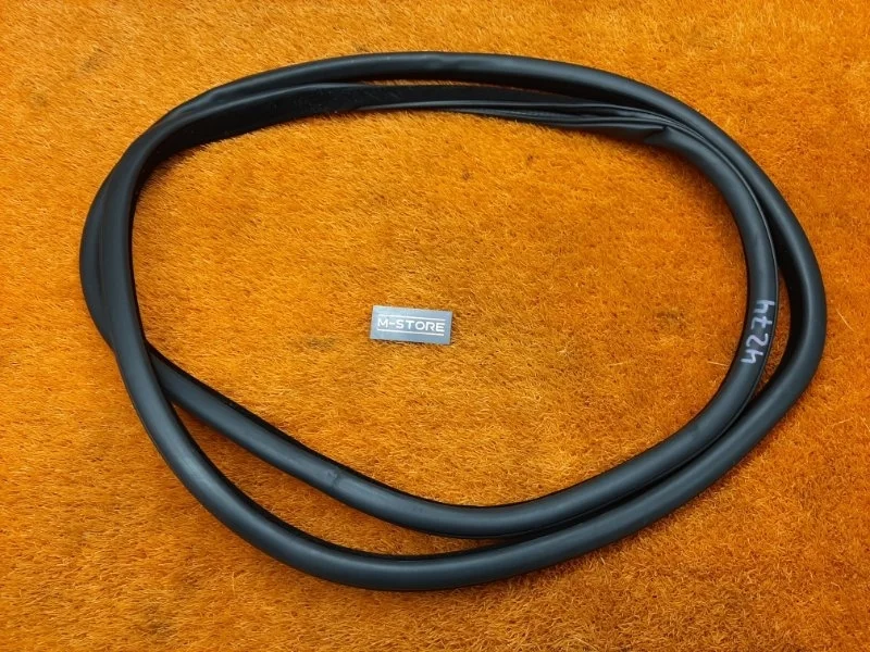 Уплотнитель двери Bmw 5-Series 2011 7182288 F10 N52B25A, задний