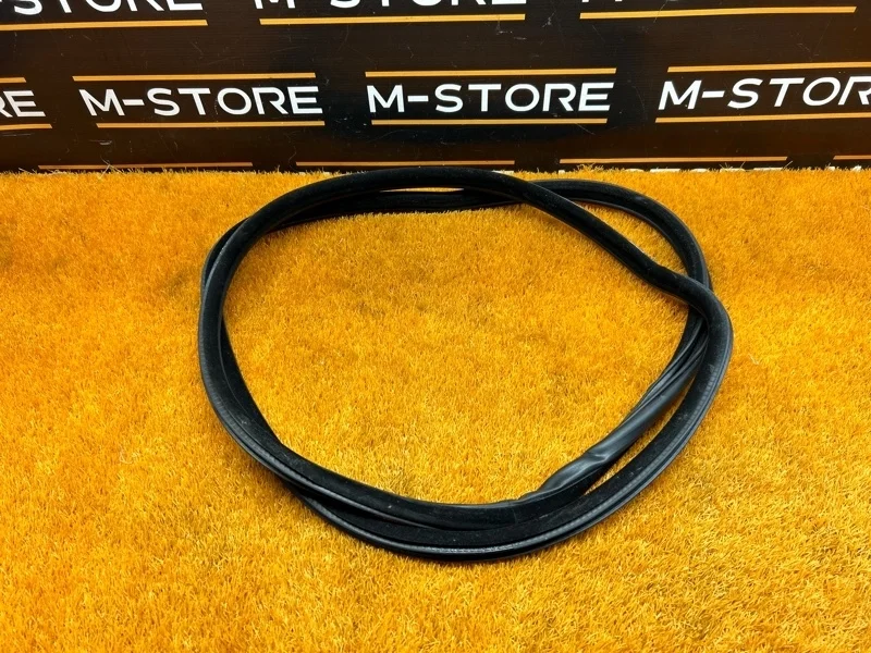 Уплотнитель двери Bmw 5-Series 2011 7182288 F10 N52B25A, задний правый