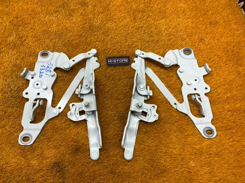 Петля капота Bmw 5-Series 2011 7249887 F10 N52B30A