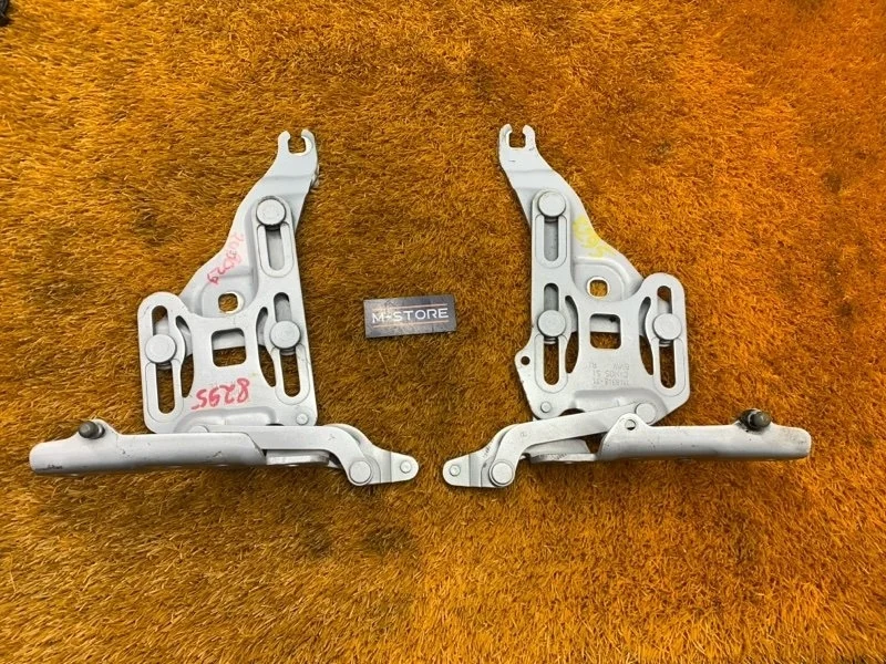 Петля капота Bmw X6 2008 7148347 E71 N54B30A