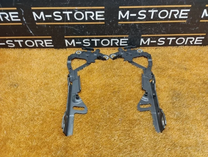 Петля капота Bmw 3-Series 2014 7336700 F30 N20B20B