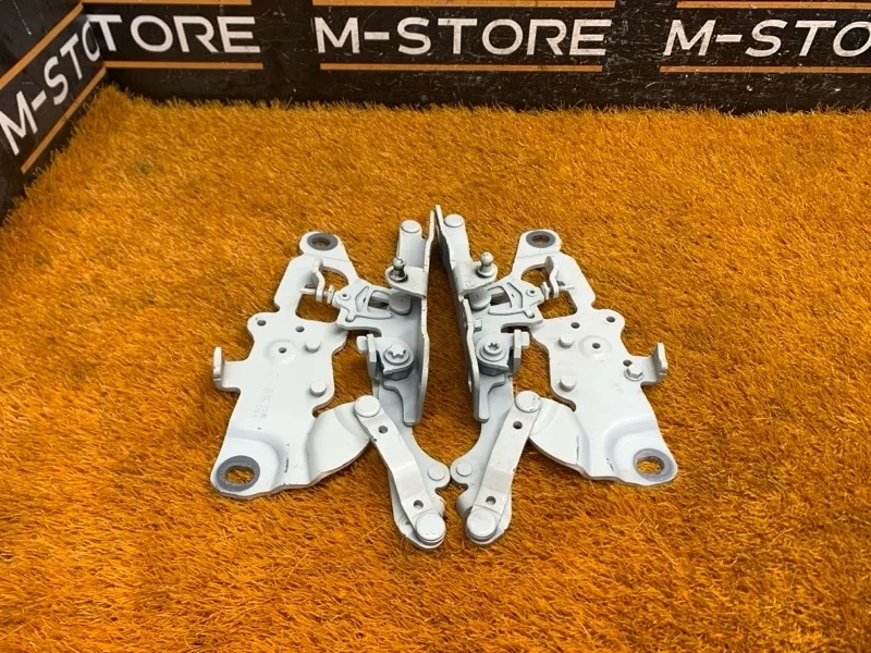 Петля капота Bmw 5-Series 2012 7249887 F10 N47D20C