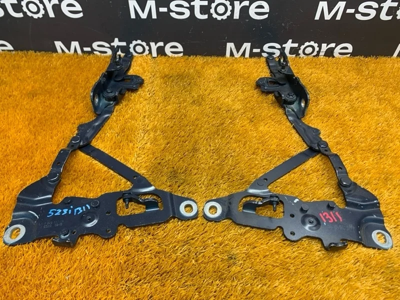 Петля капота Bmw 5-Series 2013 7249887 F10 N20B20B