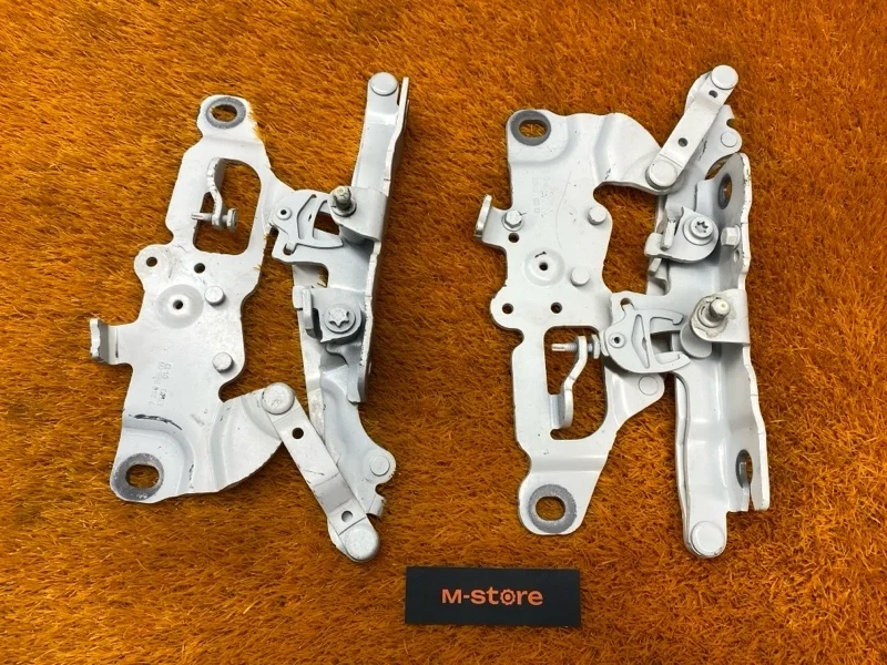 Петля капота Bmw 5-Series 2013 7249888 F10 N20B20B