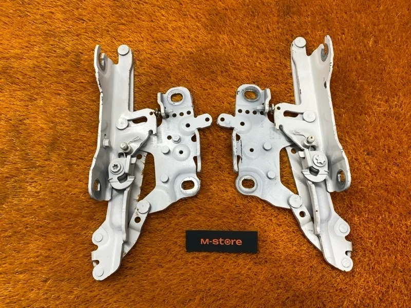 Петля капота Bmw 3-Series 2012 7239416 F30 N20B20B