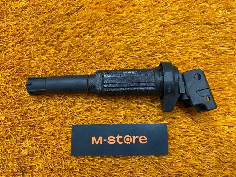 Катушка зажигания Bmw X5 2004 12131712223 E53 M54B30 (306S3)