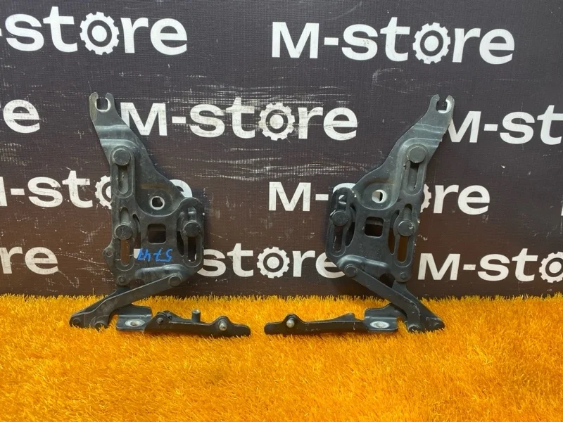 Петля капота Bmw X5 2008 7148347 E70 N52B30A