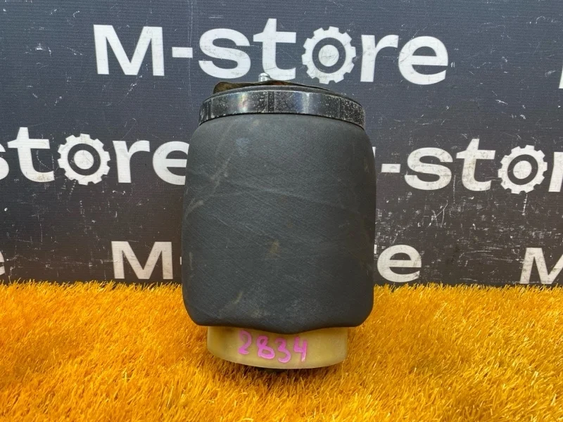 Пневмоподушка Bmw X5 2004 37126750356 E53 M54B30 (306S3), задняя правая