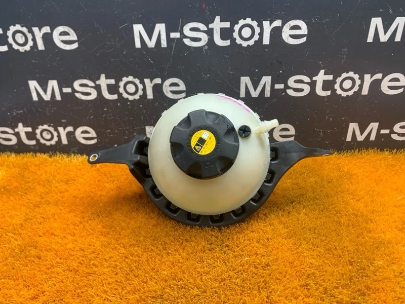 Бачок расширительный Bmw 5-Series 2011 17137619190 F10 N20B20A