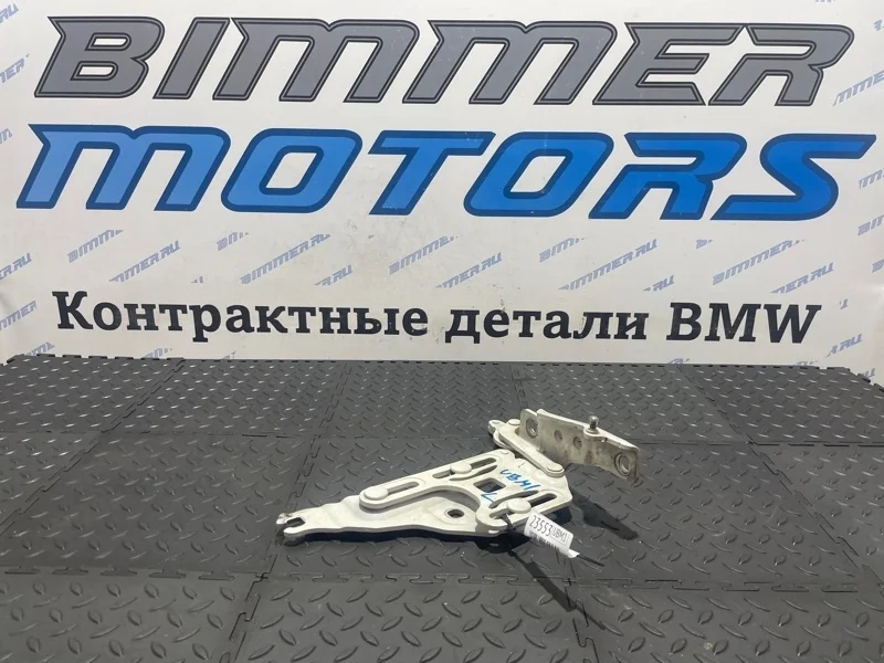 Петля капота Bmw X6 41007198617 E71 N55B30A, левая