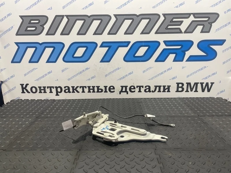 Петля капота Bmw X6 41007198618 E71 N55B30A, правая