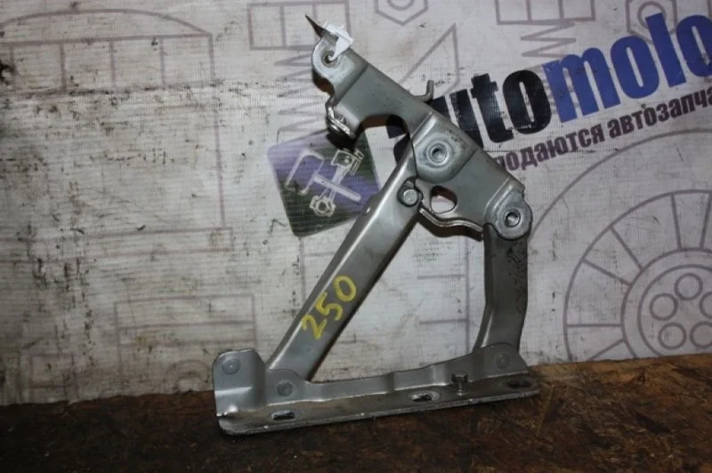 Петля капота Mercedes-Benz Cls-Class A2118800128 C219