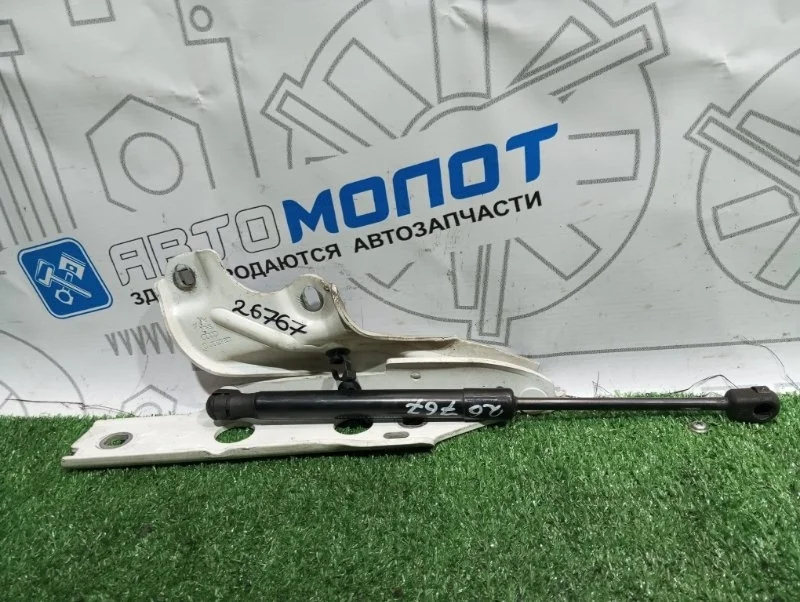 Петля капота Audi A6 4G8823301D C7 CGW, левая