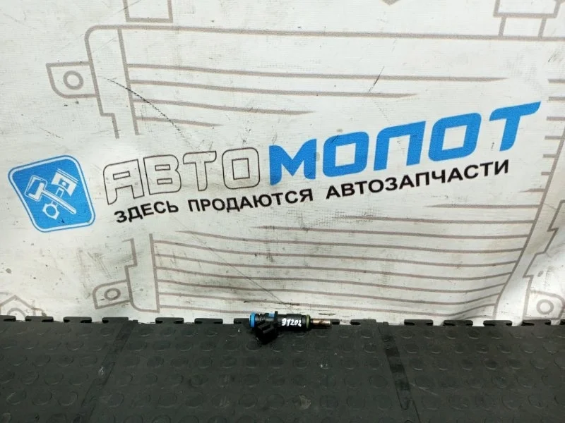 Форсунка топливная Chevrolet Cruze 2008 55562599 J300 F16D4