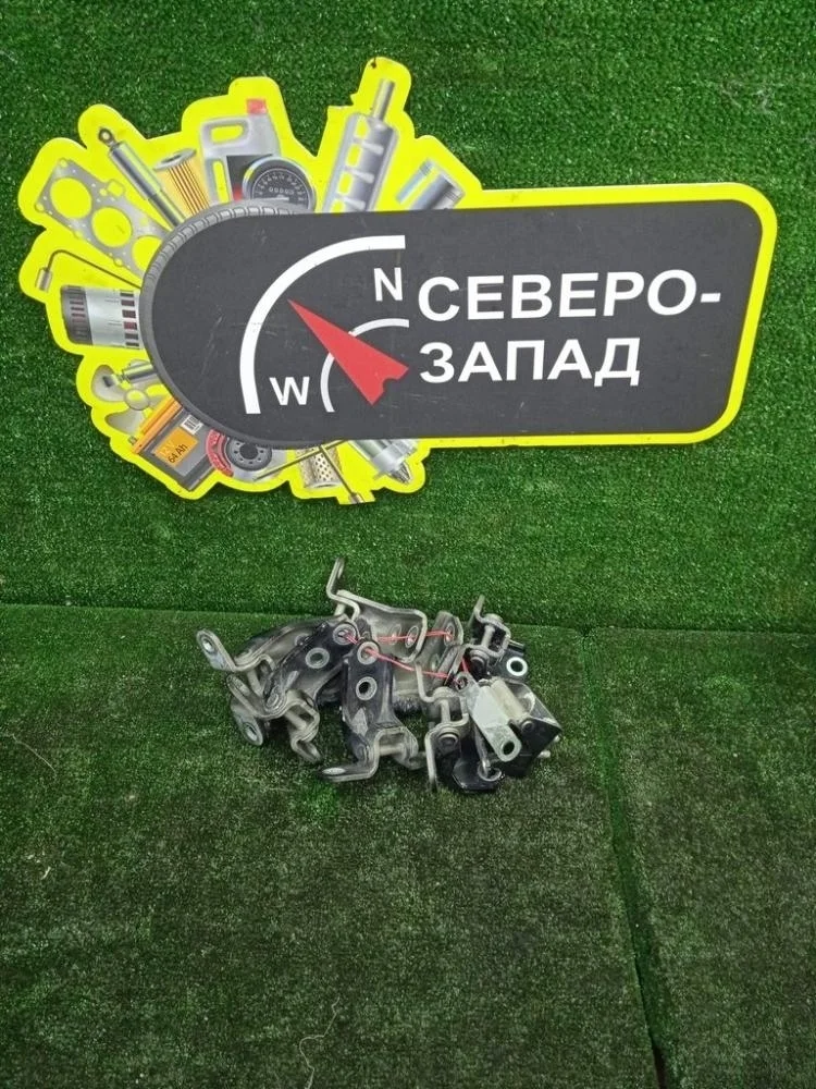 Петля двери Hyundai Palisade 2020 793102V000 D4HB, передняя левая