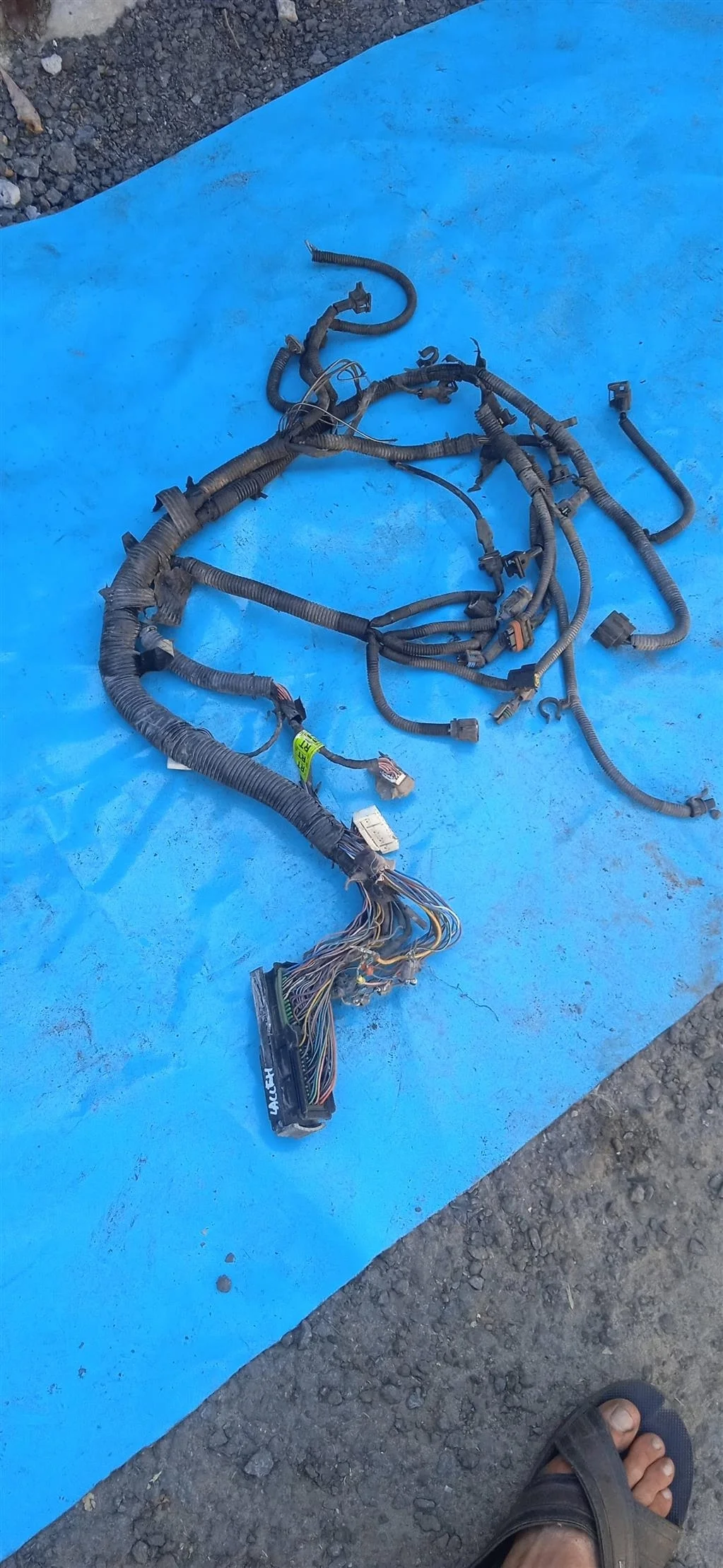 Проводка  двигателя Chevrolet Lacetti (2003-2013)