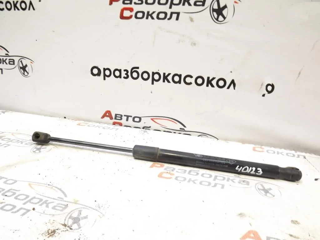 Амортизатор двери багажника Renault Duster 2012-2021  [904520004R]  2.0 16V F4R в Вологде