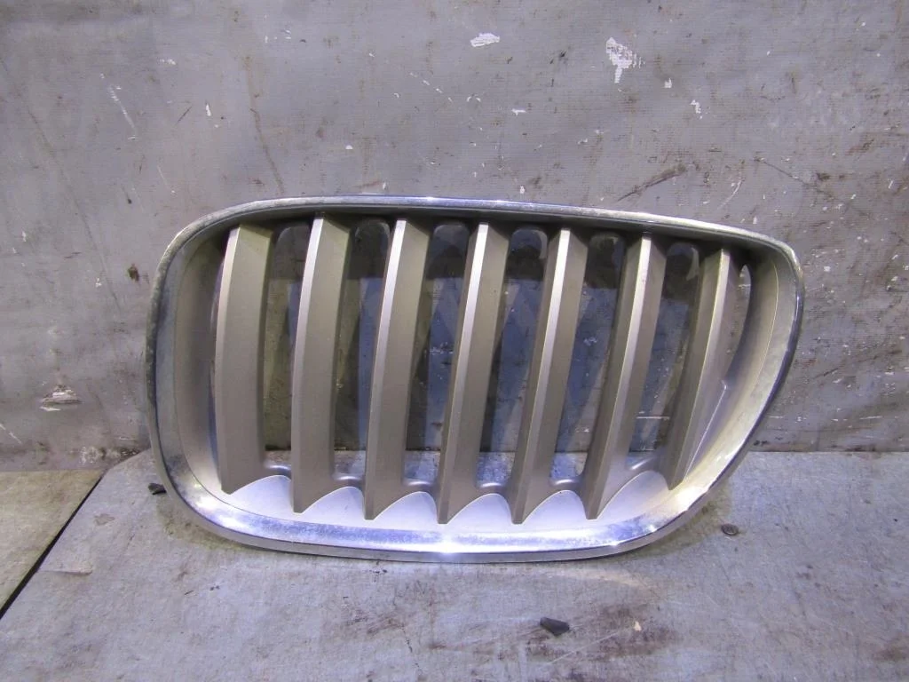 Решетка радиатора BMW X5 E53 2000-2007  [51137124815]  4.4i N62 в Вологде