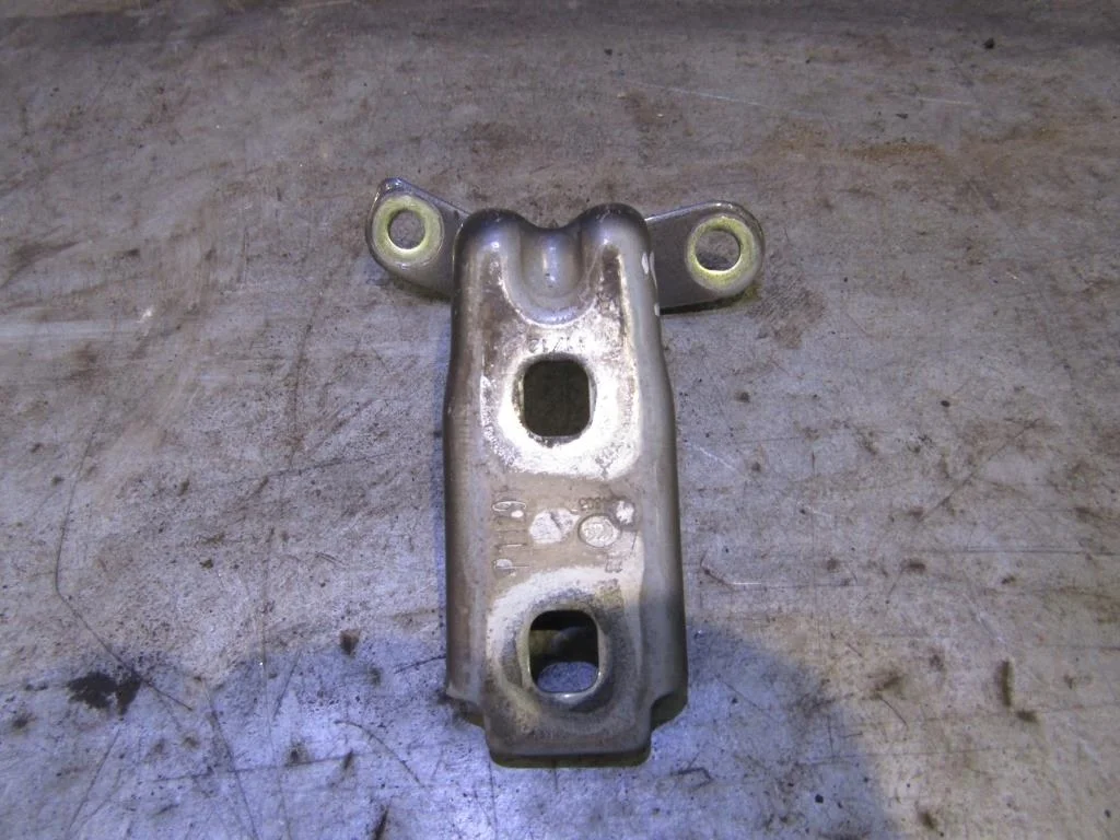 Петля двери передней Chevrolet Cruze 2009-2016  [13501712]  1.6 F16D3 в Вологде