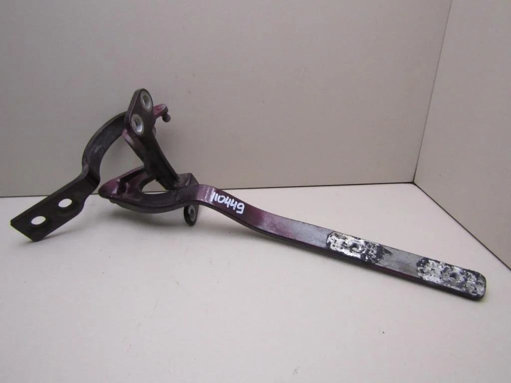 Петля двери багажника Porsche Cayenne 2003-2010  [95551230200]  4.5.V8 M48.50 BITURBO в Вологде