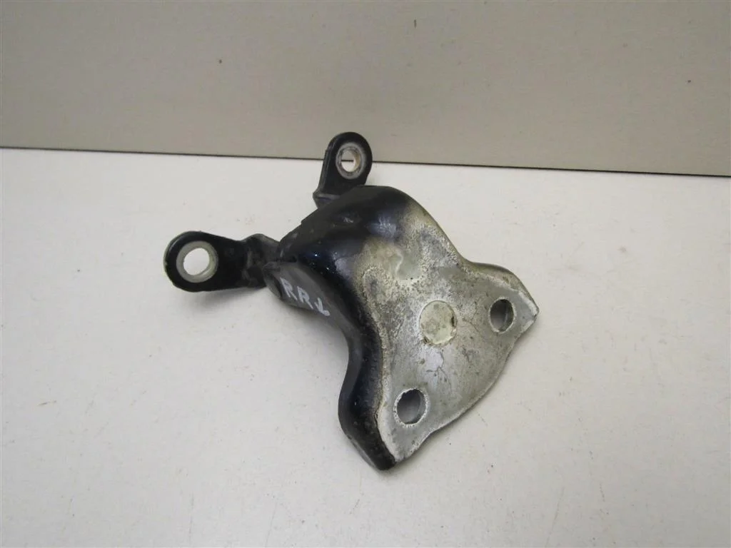 Петля двери задней Chevrolet Captiva (C100) 2006-2010  [96623964]  2.4 Z24SED в Вологде