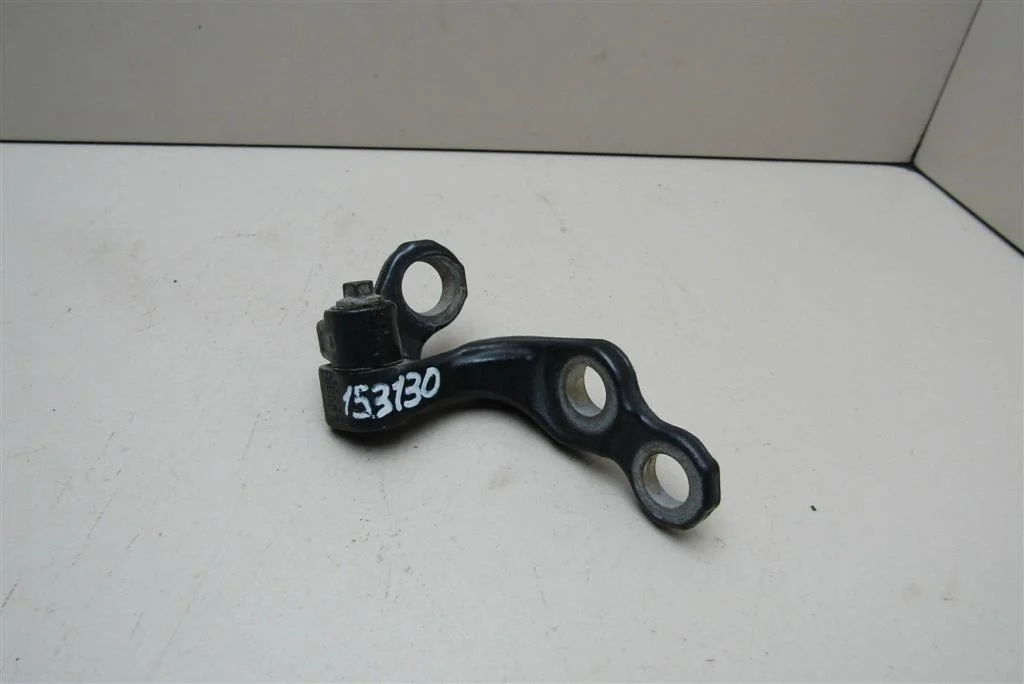 Петля двери задней правой нижняя Ford Focus II 2008-2011  [5012217]  1,6 16V  SHDB в Вологде