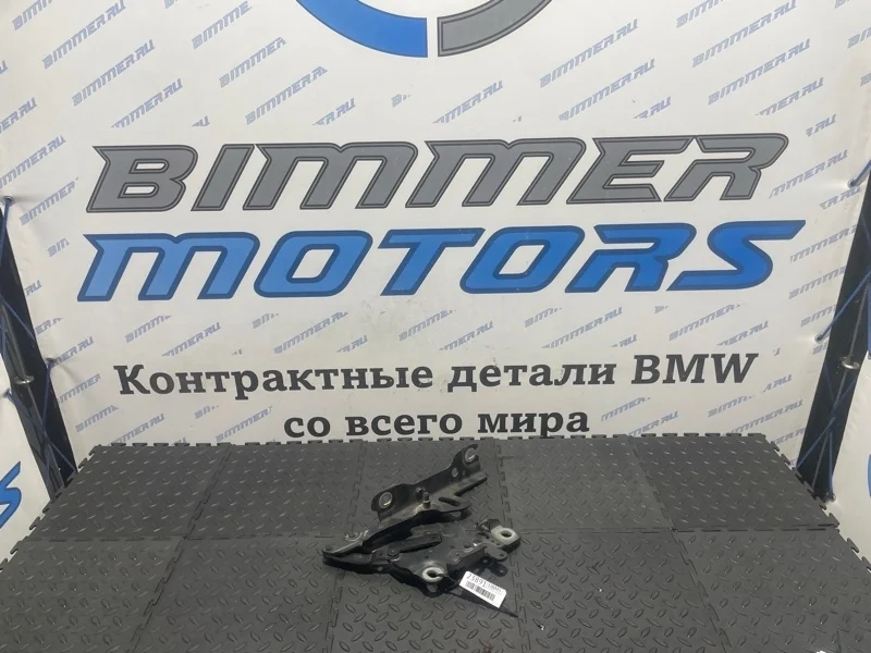 Петля капота Bmw 316I 41617286343 F30 N13B16A, левая