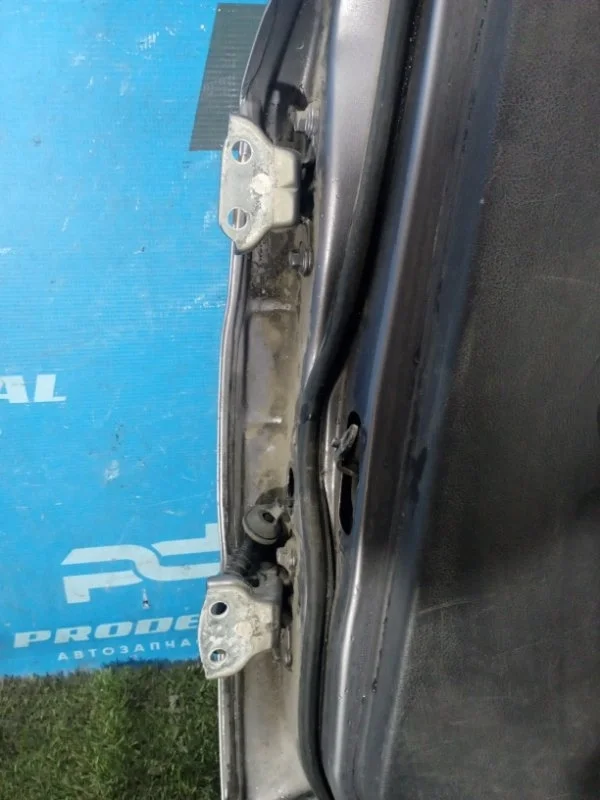 Петля двери задняя правая Chevrolet Aveo T250