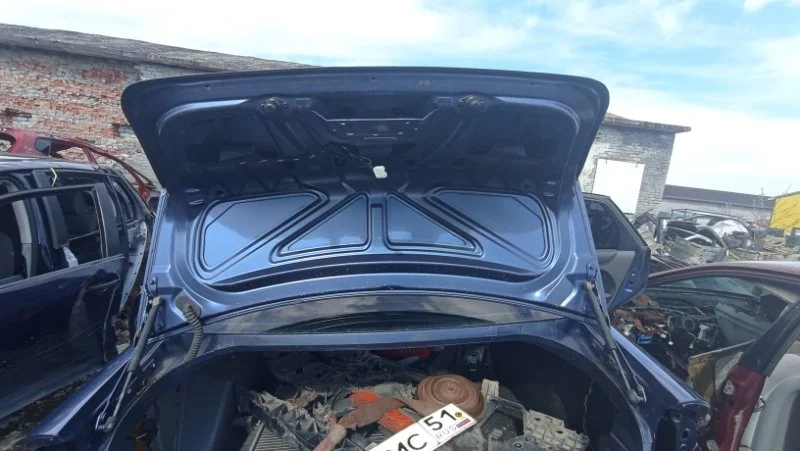 Петля крышки багажника Ford Focus 2 СЕДАН QQDB