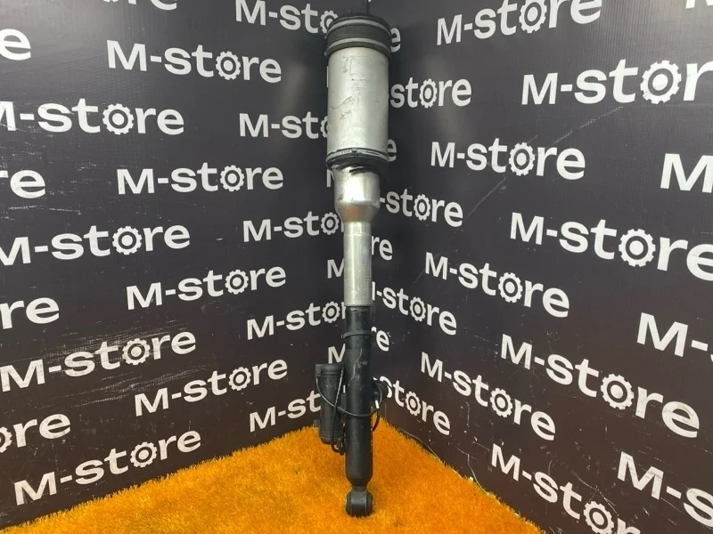 Пневмостойка Mercedes-Benz S-Class 2003 A2203205013 W220 113.960, задняя