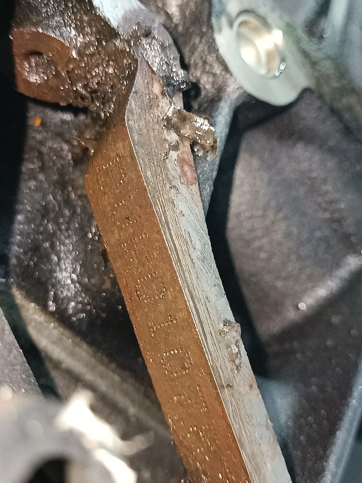 Двигатель BVK Volkswagen Sharan 1 restailing 1.9 Дизель