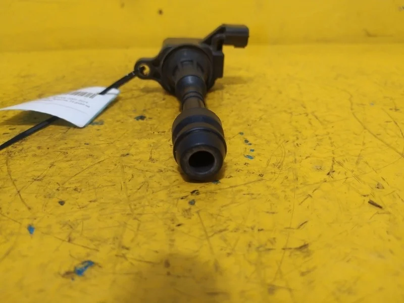 Катушка зажигания Nissan Pathfinder, Navara, Xterra 2005-2014