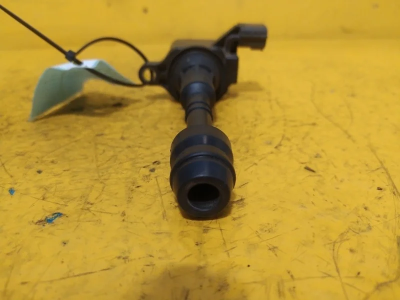 Катушка зажигания Nissan Pathfinder, Navara, Xterra 2005-2014