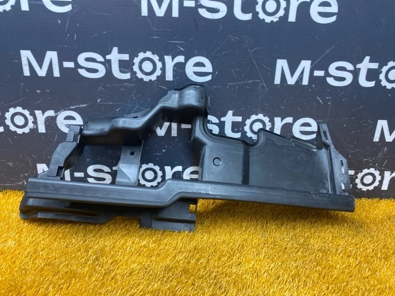 Дефлектор радиатора Bmw 7-Series 2007 51717136689 E66/E65 N62B48B, правый