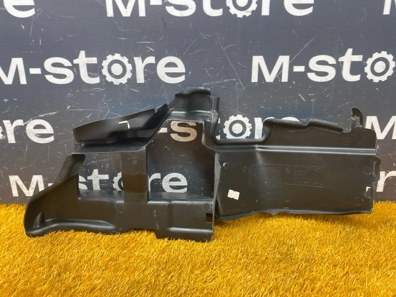 Воздуховод радиатора Bmw 7-Series 2007 51717145028 E66/E65 N62B48B, правый